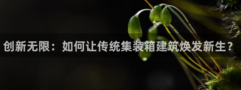 意昂体育3平台假的吗是真的吗：创新无限：如何让传统集装箱建筑焕发新生？