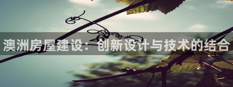 意昂3神州
