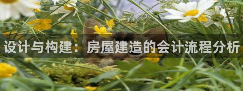 意昂体育3招商电话号码是多少号：设计与构建：房屋建造的会计流程分析