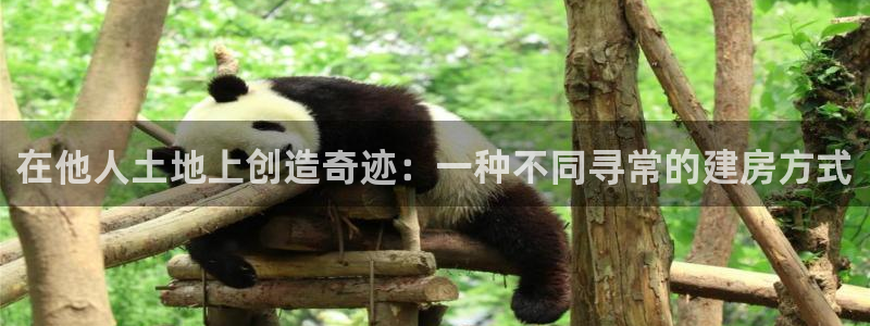 意昂体育3招商电话号码查询