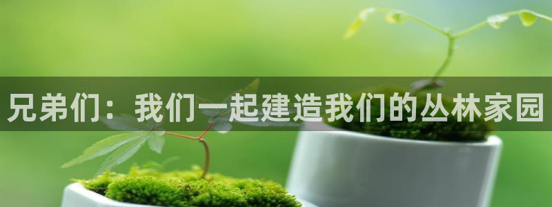 意昂3新能源：兄弟们：我们一起建造我们的丛林家园