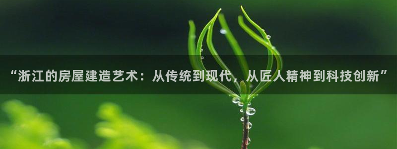 意昂3集团官网首页：“浙江的房屋建造艺术：从传统到现代，从匠人精神到科技创新”
