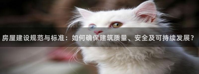 意昂3娱乐代理怎么样：房屋建设规范与标准：如何确保建筑质量、安全及可持续发展？