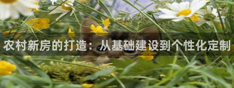 意昂体育3招商电话：农村新房的打造：从基础建设到个性化定制