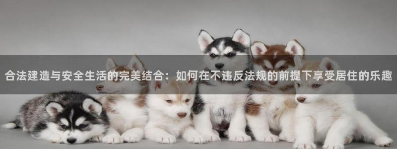 意昂3娱乐首页官网下载：合法建造与安全生活的完美结合：如何在不违反法规的前提下享受居住的乐趣