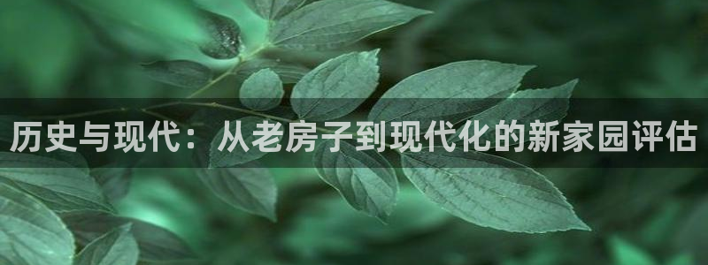 意昂体育3平台注册要钱吗：历史与现代：从老房子到现代化的新家园评估