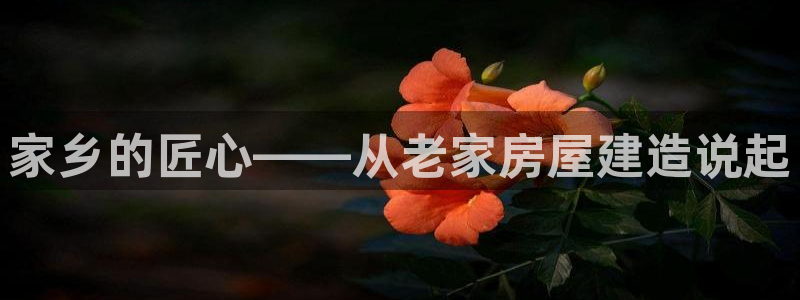 注册意昂3：家乡的匠心——从老家房屋建造说起