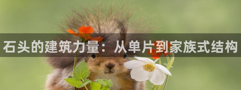 意昂3集团：石头的建筑力量：从单片到家族式结构