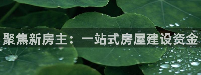 意昂3集团：聚焦新房主：一站式房屋建设资金