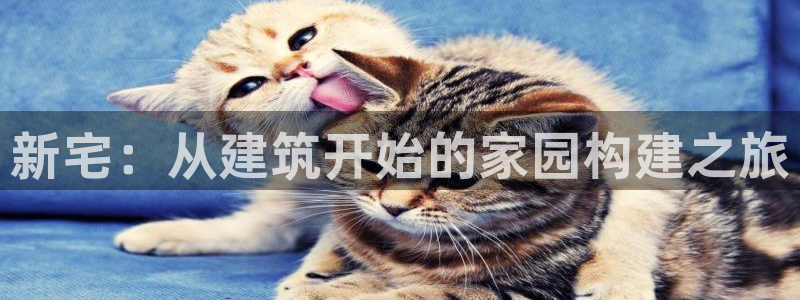 意昂体育3软件