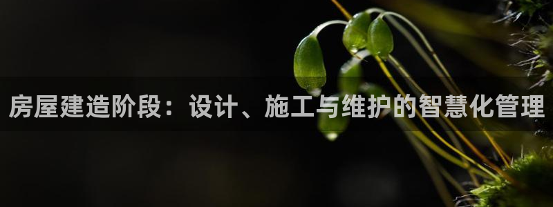 意昂体育3平台APP：房屋建造阶段：设计、施工与维护的智慧化管理