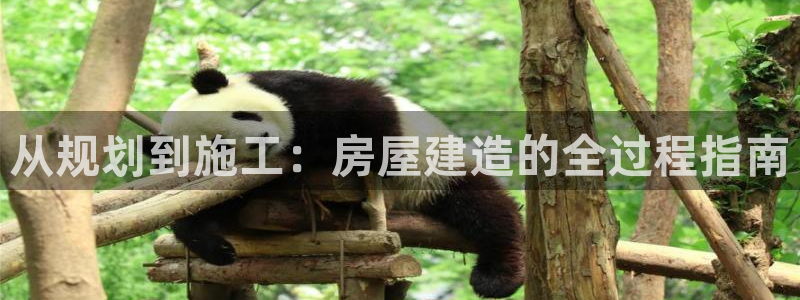 意昂平台体育：从规划到施工：房屋建造的全过程指南