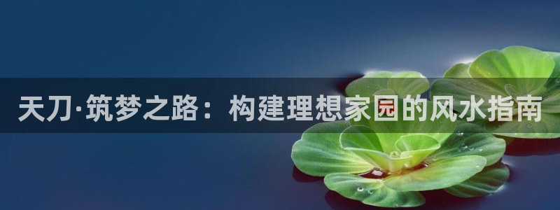 意昂体育3平台是正规平台吗知乎：天刀·筑梦之路：构建理想家园的风水指南