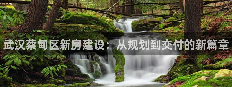 意昂体育3平台是正规平台吗安全吗：武汉蔡甸区新房建设：从规划到交付的新篇章