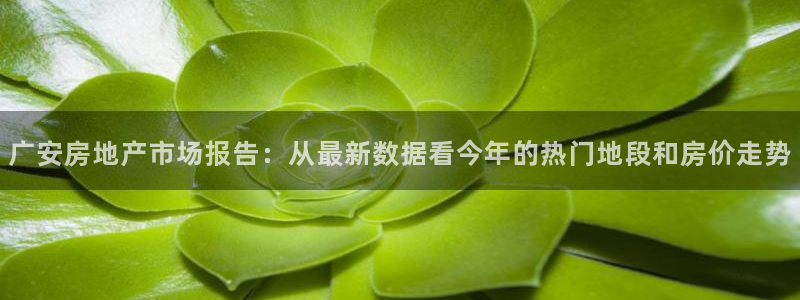 意昂3娱乐40996：广安房地产市场报告：从最新数据看今年的热门地段和房价走势