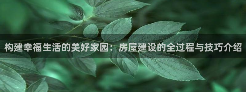 意昂平台体育：构建幸福生活的美好家园：房屋建设的全过程与技巧介绍