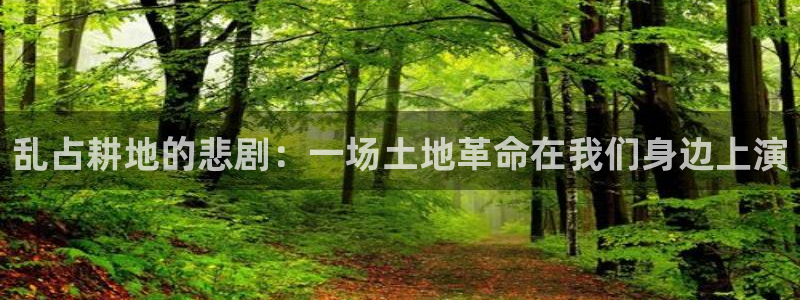 意昂体育3招商电话号码查询：乱占耕地的悲剧：一场土地革命在我们身边上演