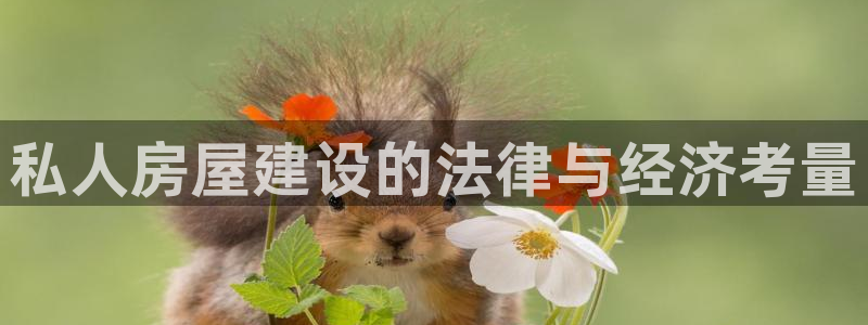 意昂3娱乐首页官网下载：私人房屋建设的法律与经济考量