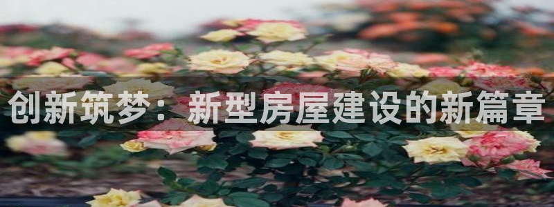 意昂3娱乐是那个系列的台子：创新筑梦：新型房屋建设的新篇章