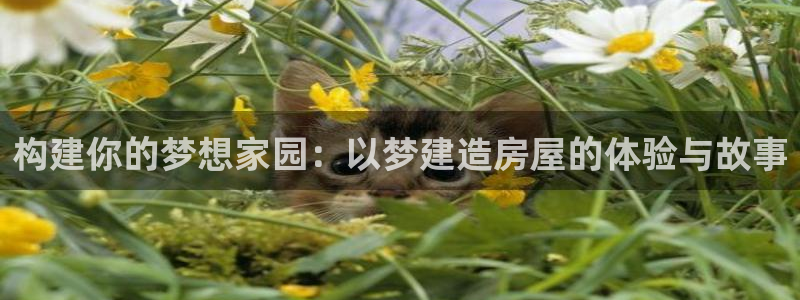意昂体育3招商电话：构建你的梦想家园：以梦建造房屋的体验与故事