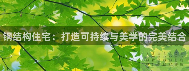 意昂3娱乐：钢结构住宅：打造可持续与美学的完美结合