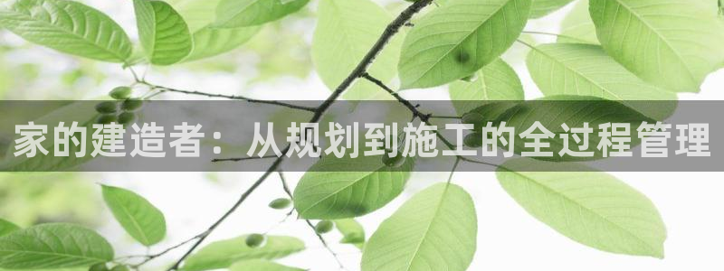 意昂体育3平台是正规平台吗：家的建造者：从规划到施工的全过程管理