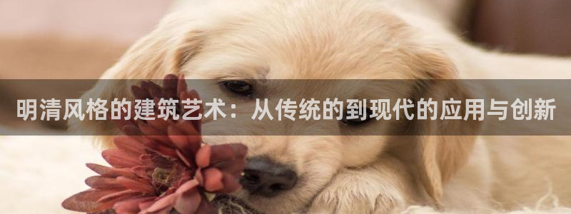 海南意昂体育3：明清风格的建筑艺术：从传统的到现代的应用与创新