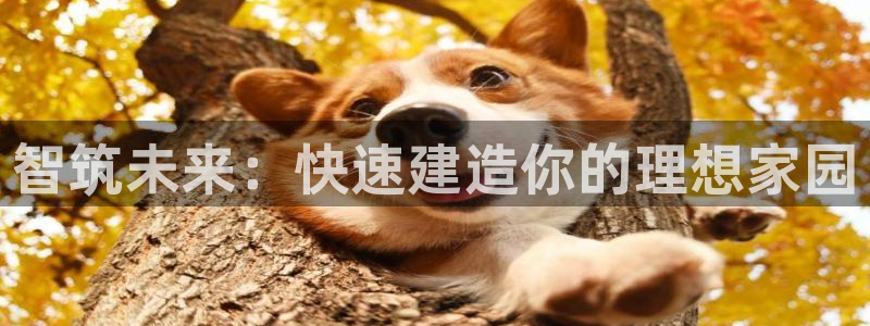 意昂体育3平台注册要钱吗是真的吗：智筑未来：快速建造你的理想家园