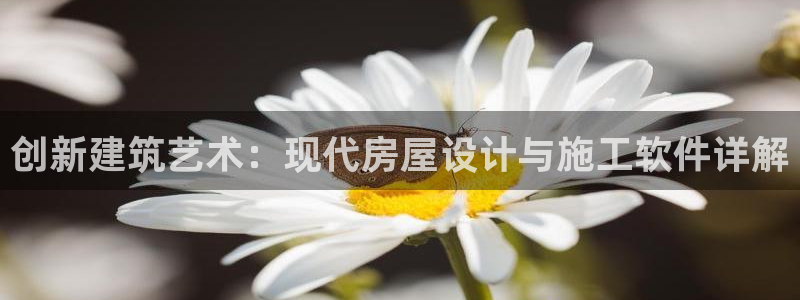 意昂3集团官网网址：创新建筑艺术：现代房屋设计与施工软件详解