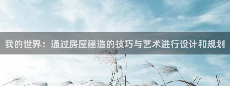 意昂体育3：我的世界：通过房屋建造的技巧与艺术进行设计和规划