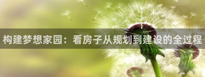 意昂体育3招商电话号码是多少啊：构建梦想家园：看房子从规划到建设的全过程