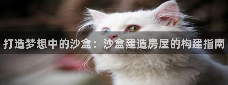 意昂体育3平台注册流程视频：打造梦想中的沙盒：沙盒建造房屋的构建指南
