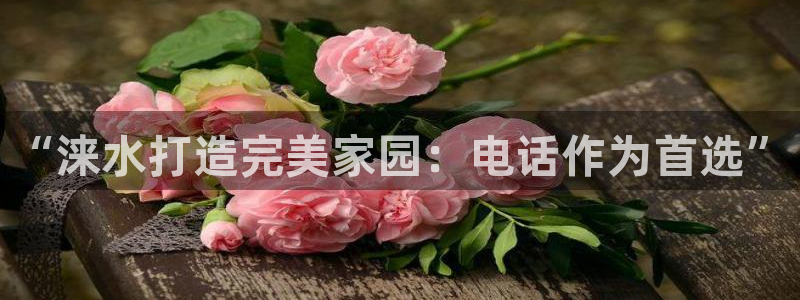 意昂体育3平台是正规平台吗知乎：“涞水打造完美家园：电话作为首选”