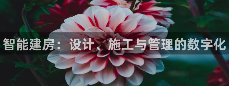 意昂3科技：智能建房：设计、施工与管理的数字化