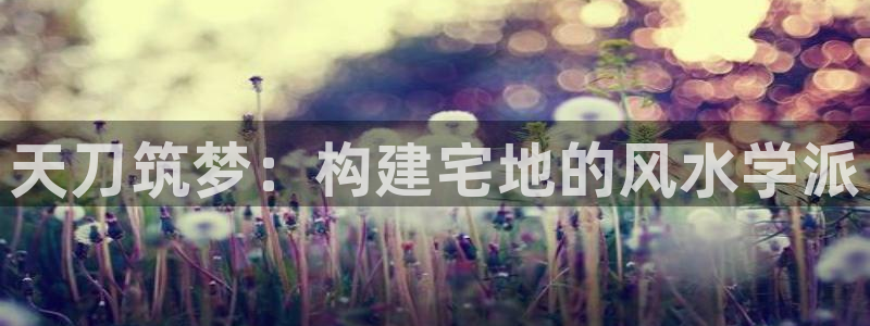 意昂体育3平台注册要钱吗安全吗：天刀筑梦：构建宅地的风水学派