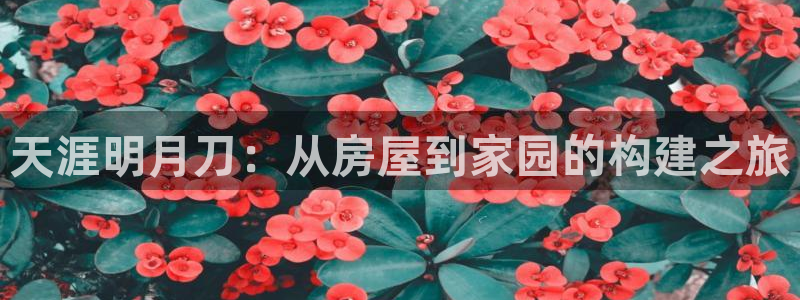 意昂3娱乐首页官网下载：天涯明月刀：从房屋到家园的构建之旅