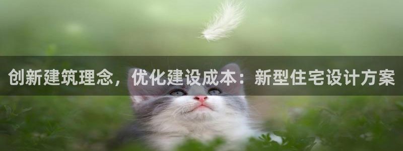 意昂体育3平台注册要钱吗：创新建筑理念，优化建设成本：新型住宅设计方案