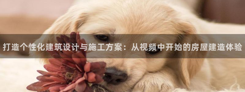 意昂体育3平台注册：打造个性化建筑设计与施工方案：从视频中开始的房屋建造体验