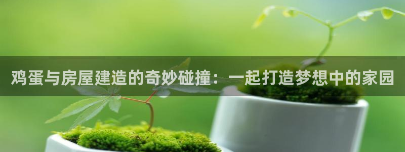 意昂体育3招商电话是多少号码：鸡蛋与房屋建造的奇妙碰撞：一起打造梦想中的家园