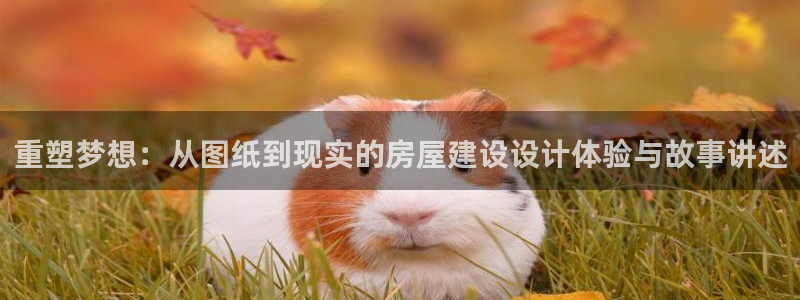 意昂体育3招商电话地址查询：重塑梦想：从图纸到现实的房屋建设设计体验与故事讲述