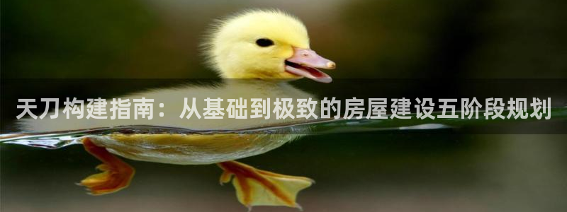 意昂3官网：天刀构建指南：从基础到极致的房屋建设五阶段规划