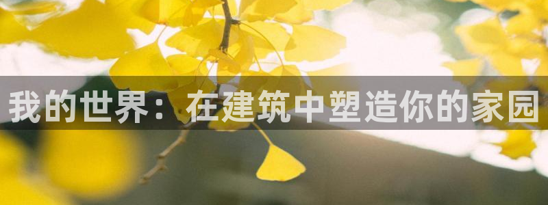 意昂体育3注册：我的世界：在建筑中塑造你的家园