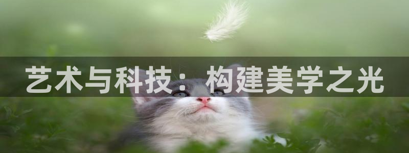 意昂3神州：艺术与科技：构建美学之光