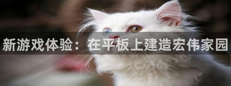 意昂体育3平台注册流程视频：新游戏体验：在平板上建造宏伟家园