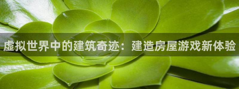 意昂体育3联系电话：虚拟世界中的建筑奇迹：建造房屋游戏新体验