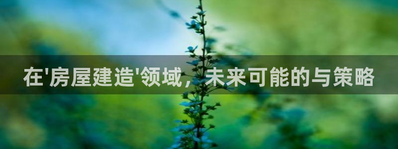 意昂3集团：在\'房屋建造\'领域，未来可能的与策略