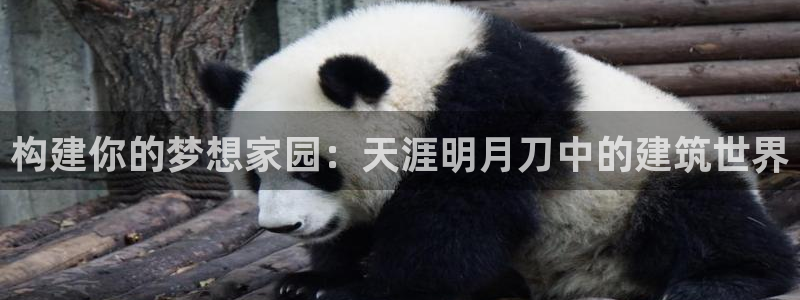 意昂体育3平台注册流程视频：构建你的梦想家园：天涯明月刀中的建筑世界