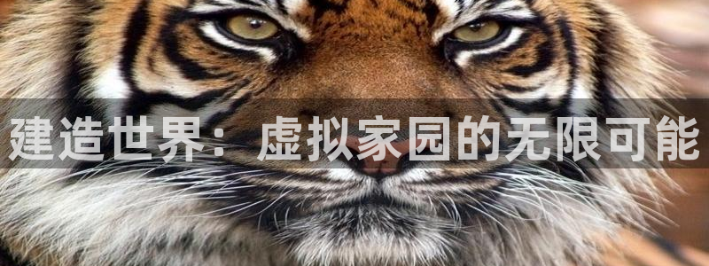 意昂体育3软件：建造世界：虚拟家园的无限可能