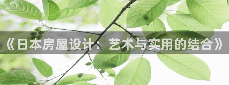 意昂体育3注册：《日本房屋设计：艺术与实用的结合》
