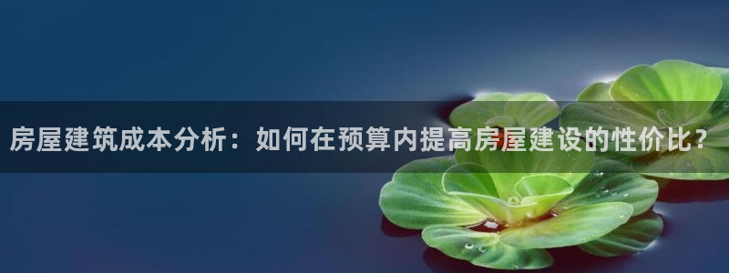 意昂平台体育：房屋建筑成本分析：如何在预算内提高房屋建设的性价比？